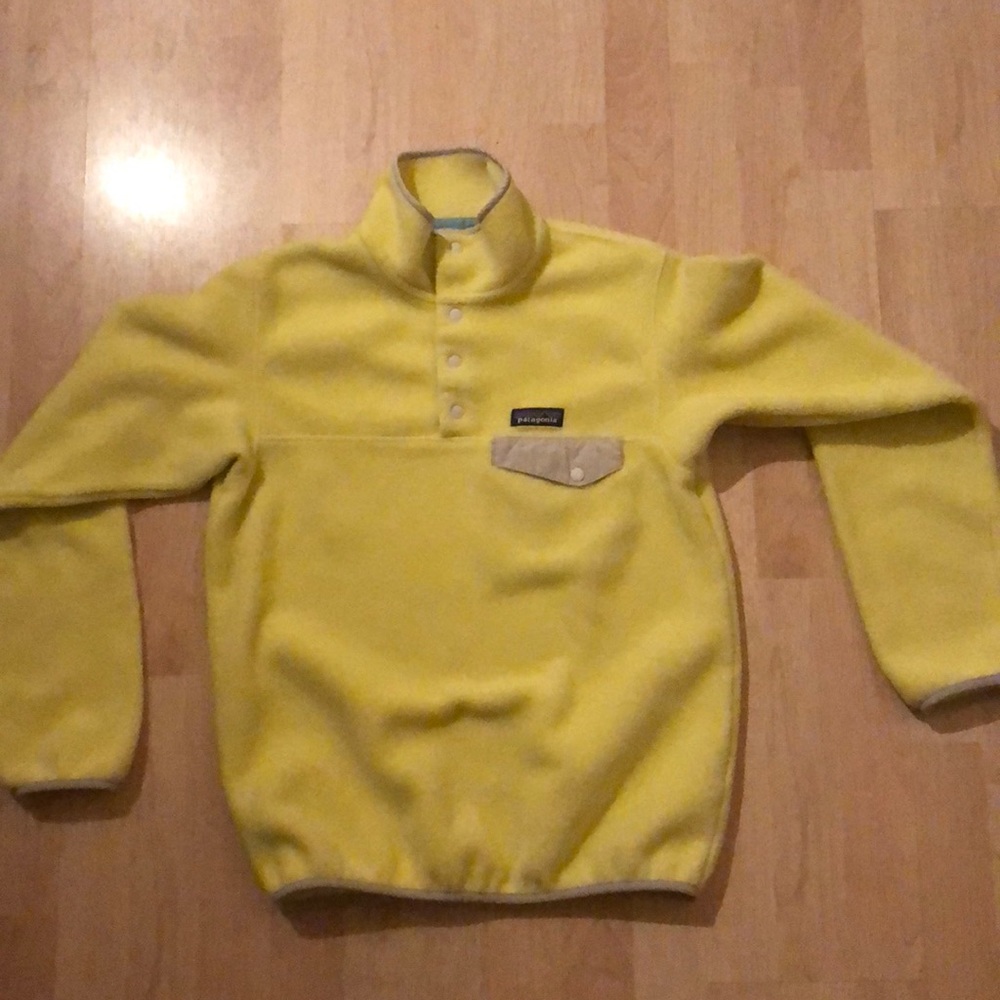Patagonia Synchilla pullover
